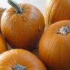 Halloween_2010_02