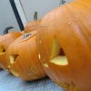 Halloween_2010_52