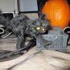 Halloween_2010_59